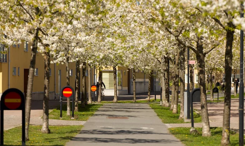 “Gewoon een beetje geld voor eten!” – Mijn moeder, haar leugen en mijn verloren jeugd