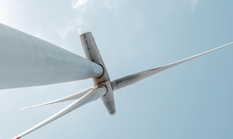 Groen van Jaloezie: Mijn Strijd met de Voorkeur van Mijn Stiefvader op de Bruiloft van Mijn Zus