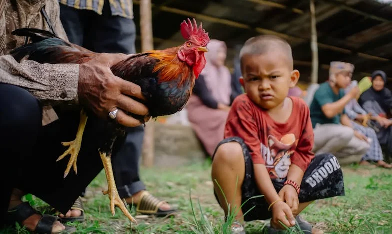 “Ik ben niet meer welkom: het moment dat mijn dochter mij de deur wees”
