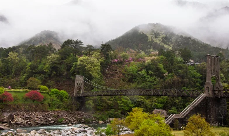 “Jullie moeten weg. Ik wil alleen zijn.” – Hoe mijn moeder ons huis uit zette