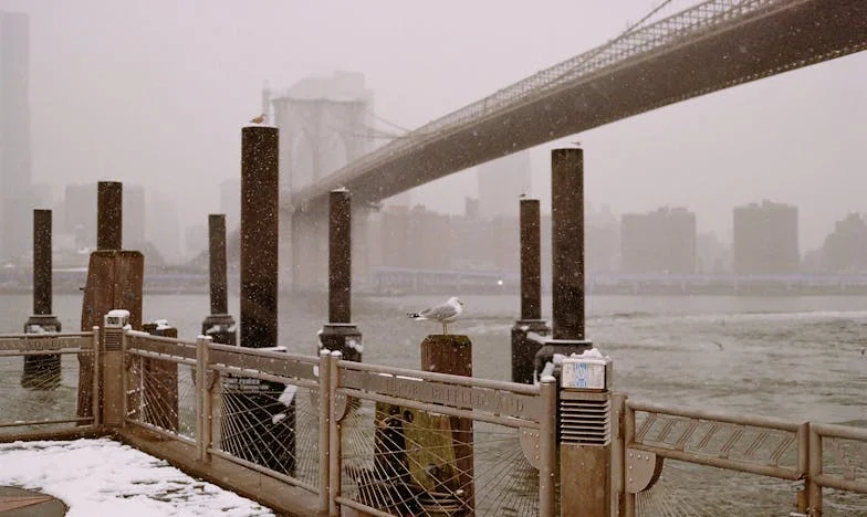 Mijn dochter kan mijn nieuwe liefde niet accepteren: verscheurd tussen geluk en gezin