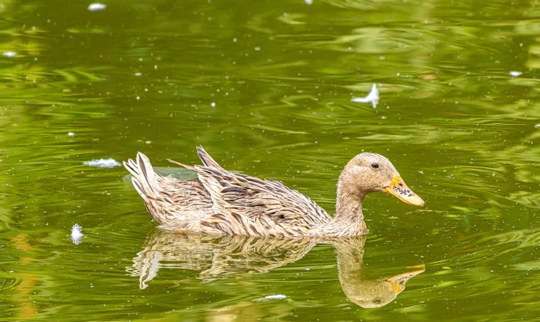 Mijn Man Dacht Dat Ik Nooit Zou Ontdekken Dat Hij De Helft Van Zijn Salaris Naar Zijn Moeder Stuurde
