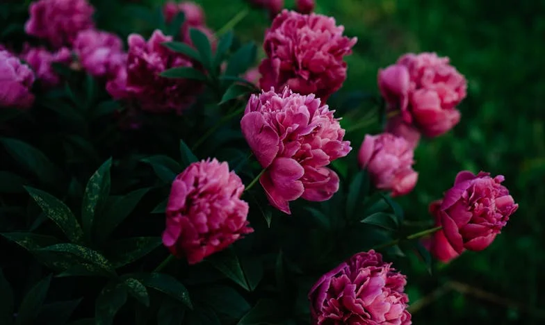 Mijn Schoondochter Vroeg Me Minder Vaak Langs te Komen – Maar Toen Had Ze Me Plotseling Nodig