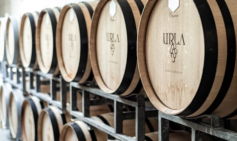 Onder het Stof van het Verleden: Mijn Onvoltooide Vlucht