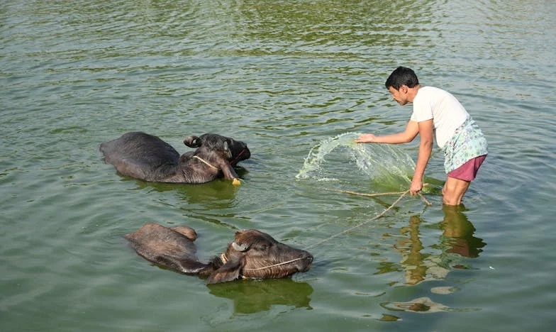 Op Elkaars Lip: Ons Leven in een Kleine Studio met een Peuter en een Onverwachte Gast