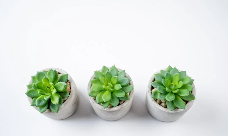 Toen Mijn Man Zijn Baan Verloor en Zijn Moeder Weigerde te Helpen: Nu Is Zij Ziek en Worstelen Wij met Haar Medische Kosten