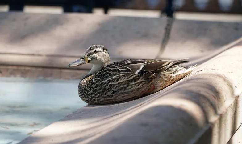 Tussen Luxe en Liefde: Mijn Moeder, Mijn Man en Onze Strijd