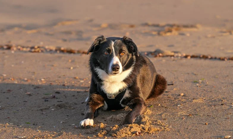 Twee keer per jaar stuur ik mijn kleinzoon geld – maar van hem hoor ik nooit iets terug