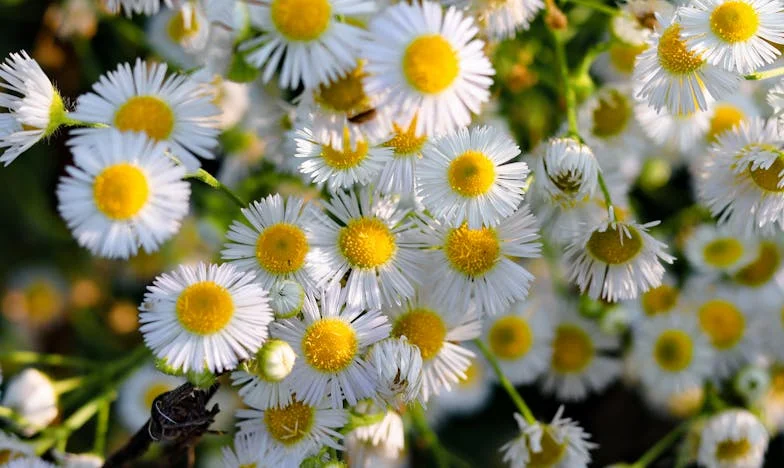 “Voor het eerst in mijn leven voel ik me niet alleen”: Mijn verhaal over liefde, verlies en een tweede kans op geluk