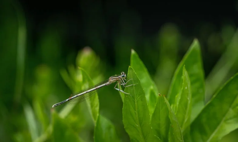 Als de deur weer opengaat: het onverwachte terugkeren van mijn ex na zestien jaar