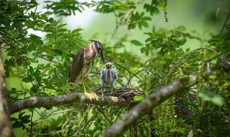 De Dag Dat Mijn Moeder De Politie Belde: Een Les Die Ik Nooit Vergeet