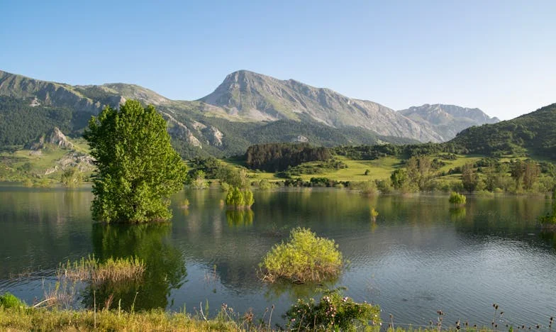De Koelkastoorlog: Een Gezin op het Randje