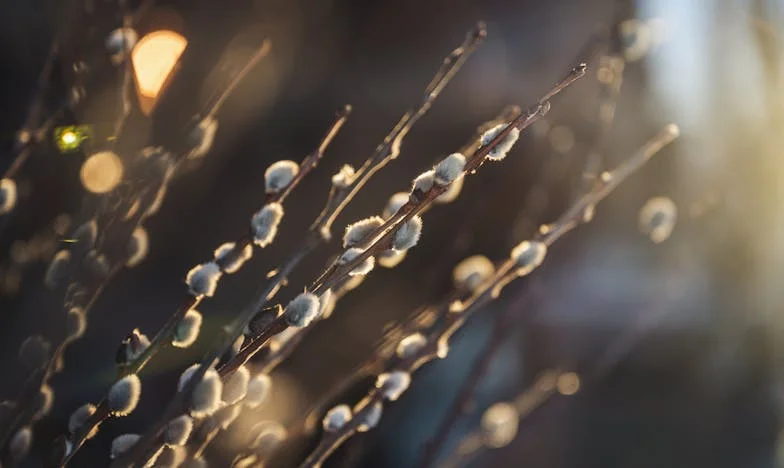 De nacht dat alles veranderde: mijn leven met mijn schoonmoeder