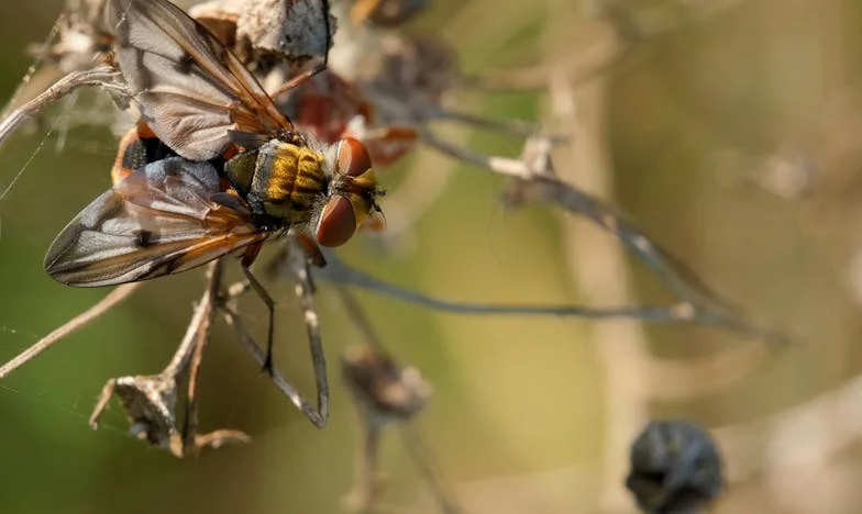 De Week Die Alles Veranderde: Een Moeder Tussen Liefde en Loyaliteit