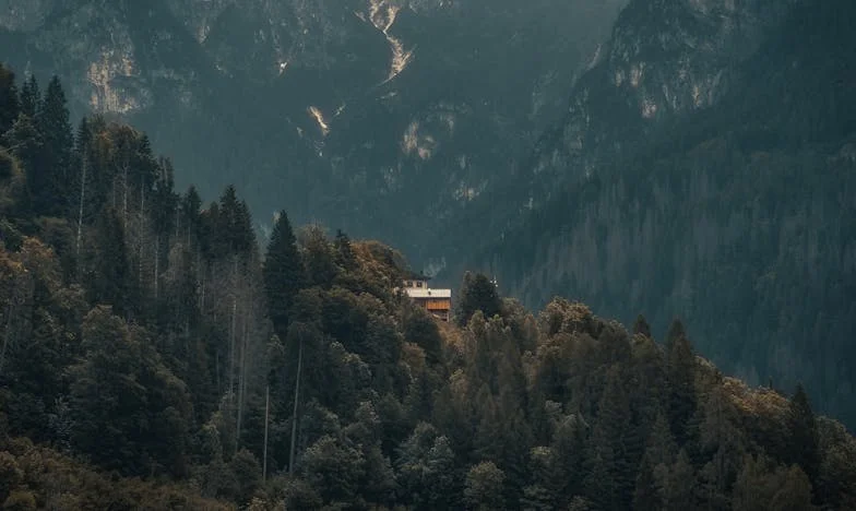 De Wraak van het Meer: Het Verhaal van Naomi van Dijk