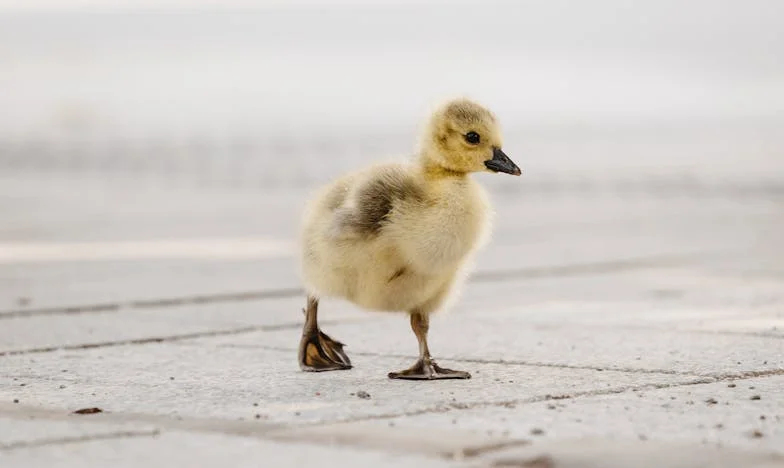 Die Nacht Dat Ik Mijn Dochter en Haar Vriend de Deur Uit Zette: Het Moment Dat Ik Besefte Dat Genoeg Genoeg Was