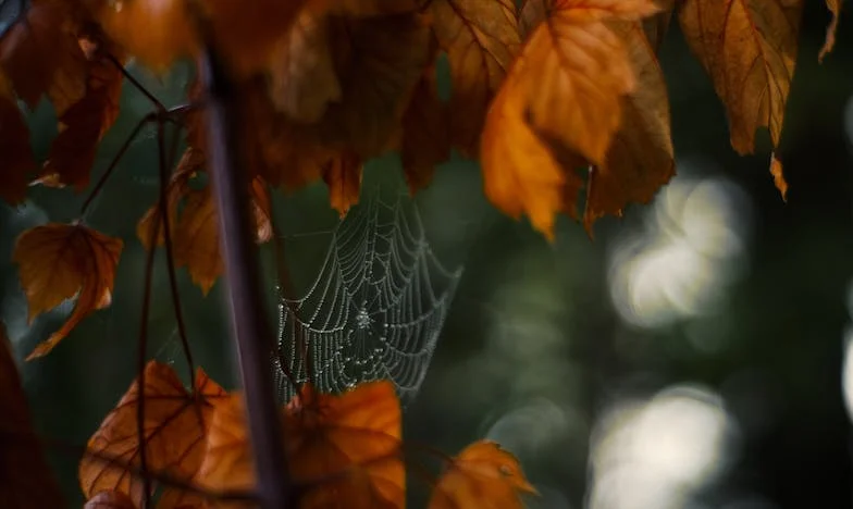 Drie jaar later: Een tijdelijke hulp die nooit eindigde