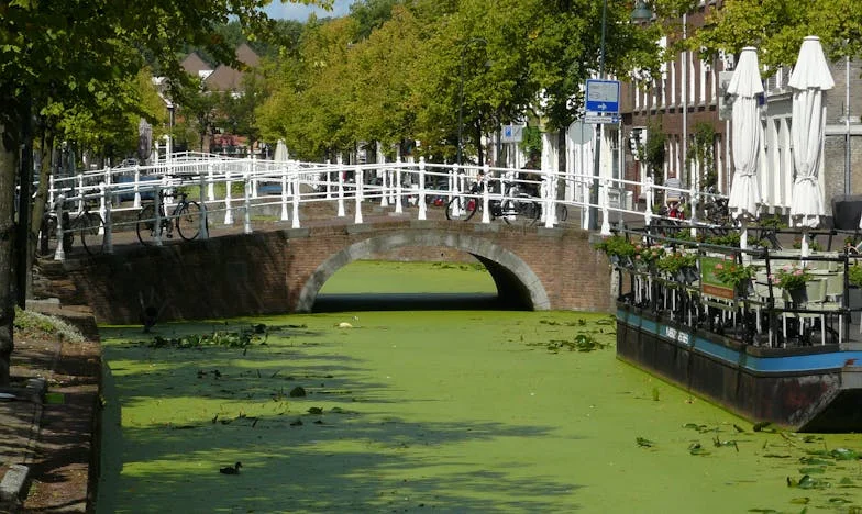 Geluk in Stilte: Het Onbegrijpelijke Pad van Mijn Moeder