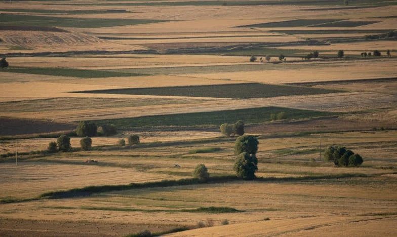 Help! Mijn man geeft mij de schuld van onze financiële problemen na de geboorte van ons derde kind