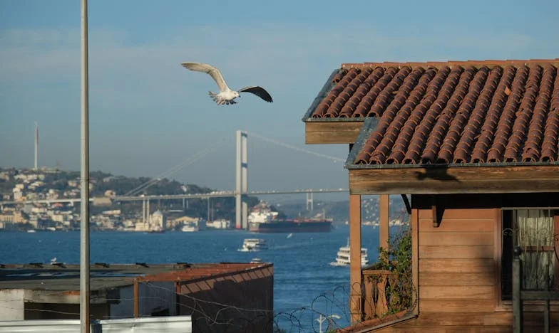 Het huis dat niet van ons mocht zijn: een moeder tussen hoop en wantrouwen