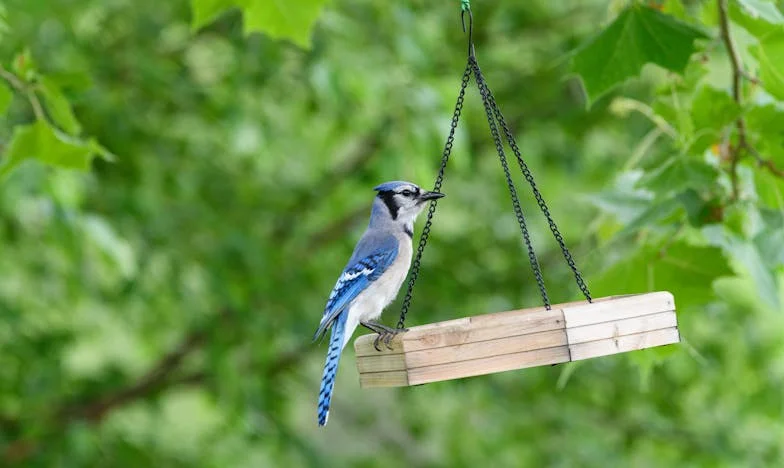 Het Verborgen Kind: Een Moeder Tussen Liefde en Geheimen