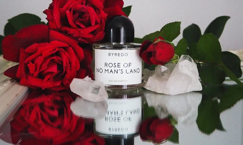 “Je mag me niet vertellen hoe ik moet leven. Ik maak mijn eigen keuzes, zonder jou,” zei mijn schoondochter tegen me