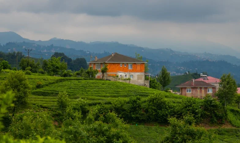 “Mam, ik kan niet meer”: Hoe mijn moeder onbedoeld mijn leven overnam