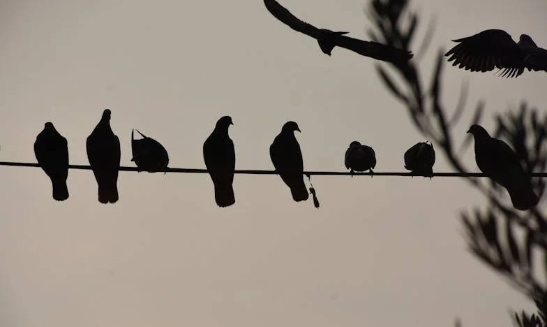 Mijn moeder gaf niets om liefde, alleen om het gezin