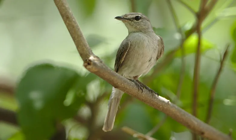 Mijn Vriendin Koos Voor Echtscheiding op Haar Oude Dag: Een Leven Tussen Stad en Stilte