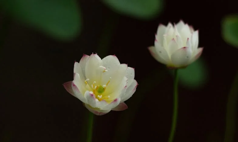 Mijn zoon en schoondochter zijn gescheiden: "Nu heeft hun kind nergens om naartoe te gaan"