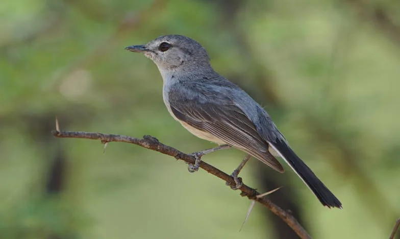 Onze Zonen Probeerden Ons Uit Ons Eigen Huis te Zetten