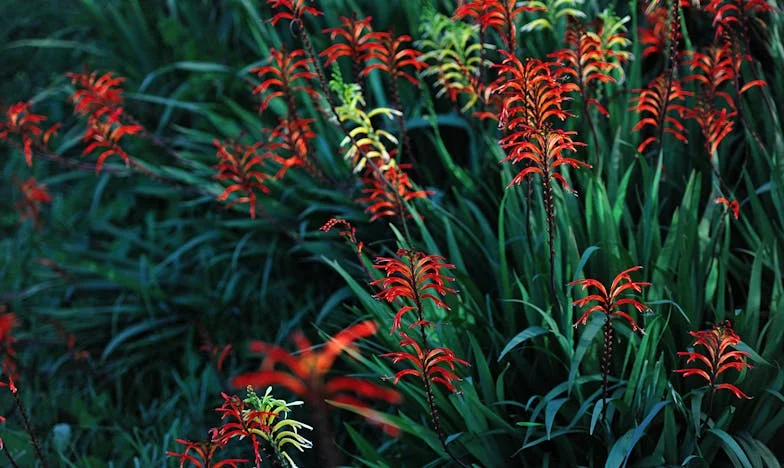 Toen ik mijn hart volgde om mijn zoon en schoondochter te helpen, had ik nooit verwacht in een val te stappen