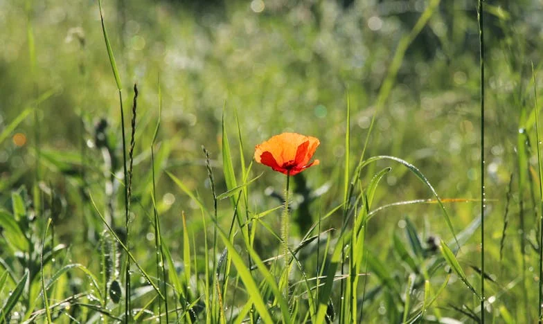 Tussen Liefde en Loslaten: Het Verhaal van Een Moeder en Haar Zoon