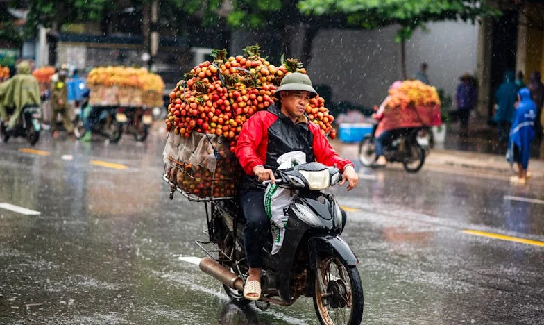 Tussen Liefde en Loyaliteit: Mijn Moeder, Mijn Man, en Ik