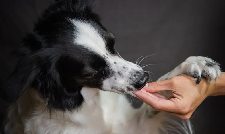 Tussen Stilte en Storm: Een Familie in Spagaat