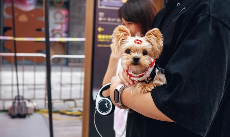 Tussen Twee Huizen: Het Verhaal van Mijn Gebroken Familie