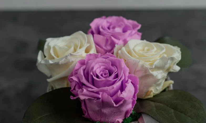 Van Eén naar Drie: Het Onverwachte Wonder van Mijn Leven