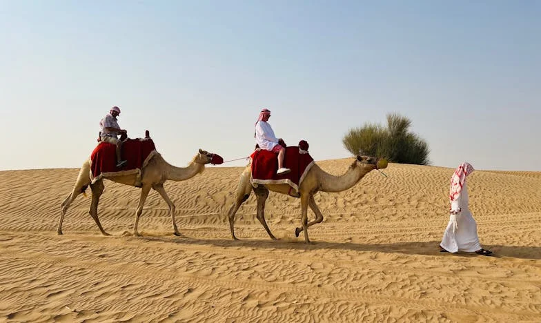 “Waar is thuis als je moeder opnieuw begint?” – Een verhaal over familie, verlies en nieuwe kansen