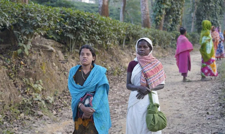 Achtien Jaar Koffie en Stilte: Het Verhaal van Nicole en Meneer van Dijk