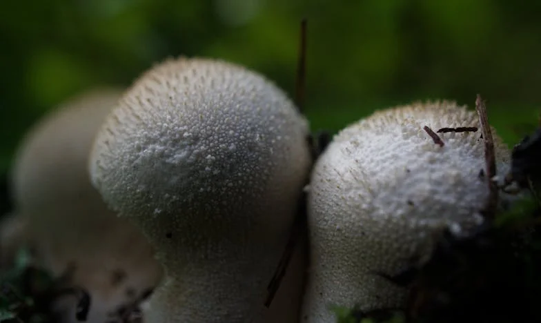 De Afwas van de Waarheid: Een Onverwachte Wending in Mijn Leven