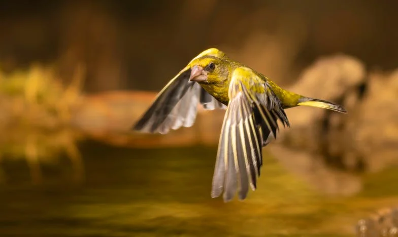 De Breekbare Draad Tussen Moeder en Dochter: Een Verhaal van Verlies en Hoop
