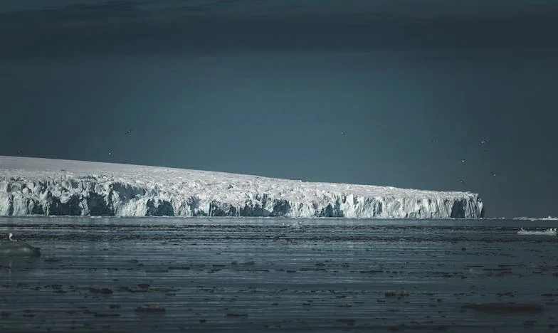 De Dag Dat Mijn Broer Niet Meer Bestond