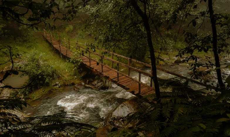 De Last van Liefde: Mijn Leven met Mijn Zieke Schoonmoeder