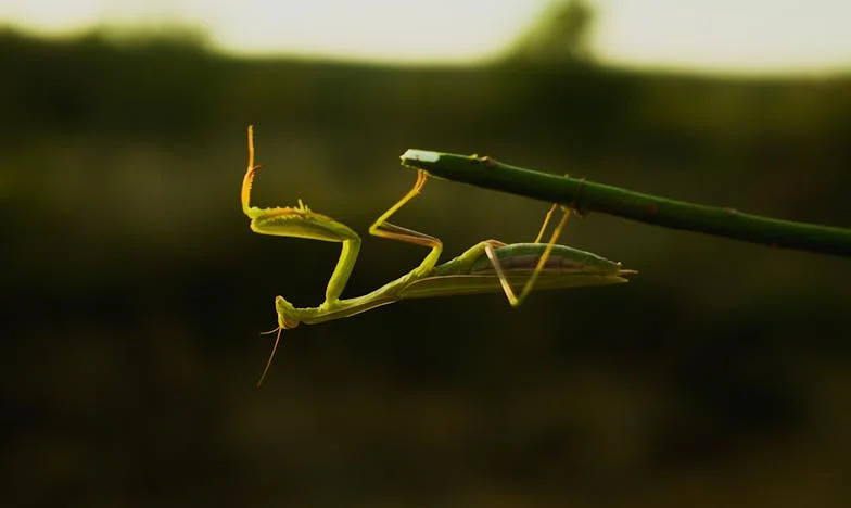 De Onverwachte Storm: Brians Leven op z'n Kop