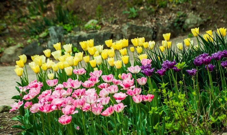 De Onzichtbare Scheidslijn: Hoe Mijn Schoonmoeder Onze Familie Verdeelde