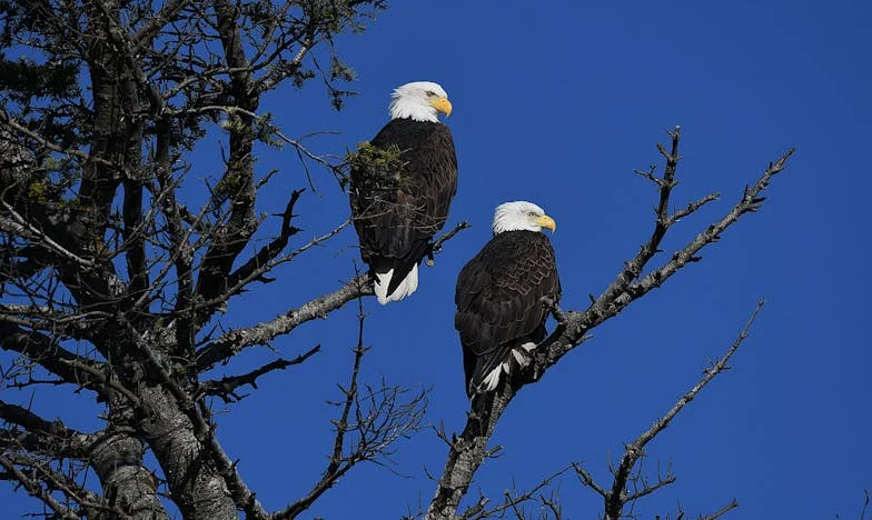 De Schuld van Mijn Moeder: Een Ongewilde Erfenis