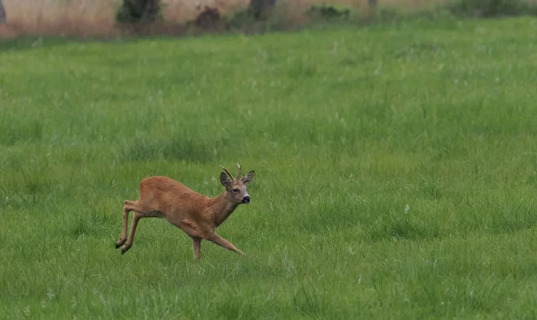 De Stilte Tussen Moeder en Dochter: Een Jaar Zonder Klaudia