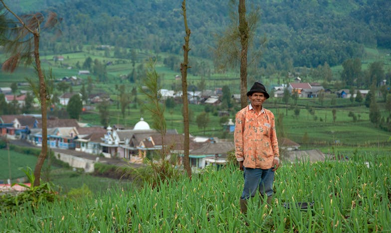 De Stilte van het Huis: Hoe Ik Mijn Hart Terugvond Tussen de Machines