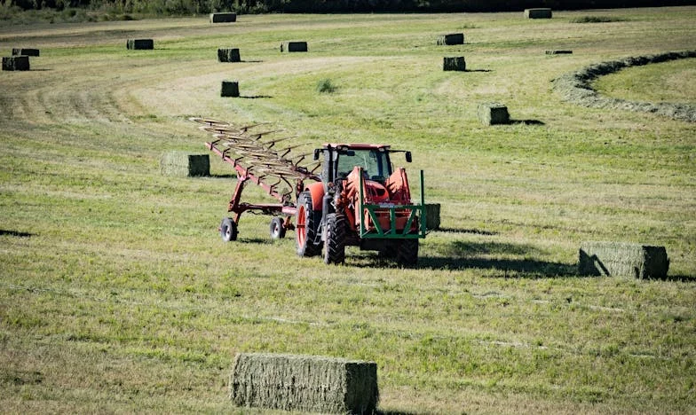 Dertig Jaar Geleden Zorgde Ik Voor Vijf Kinderen: Nu Wil Niemand Ons Helpen
