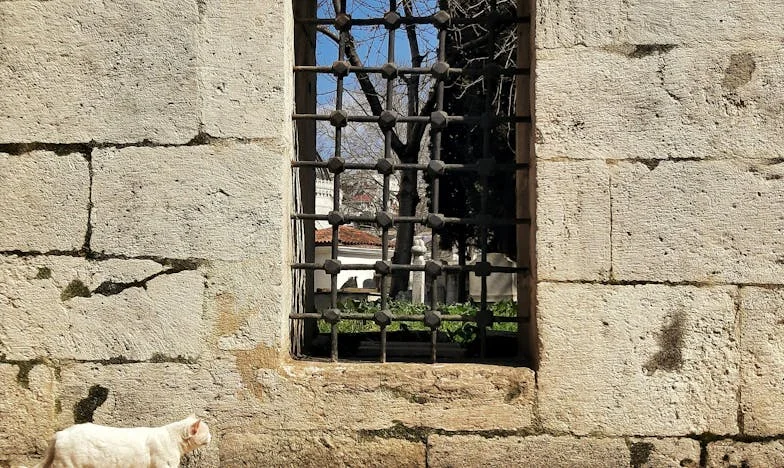 Door het lezen van mijn dochters dagboek veranderde alles